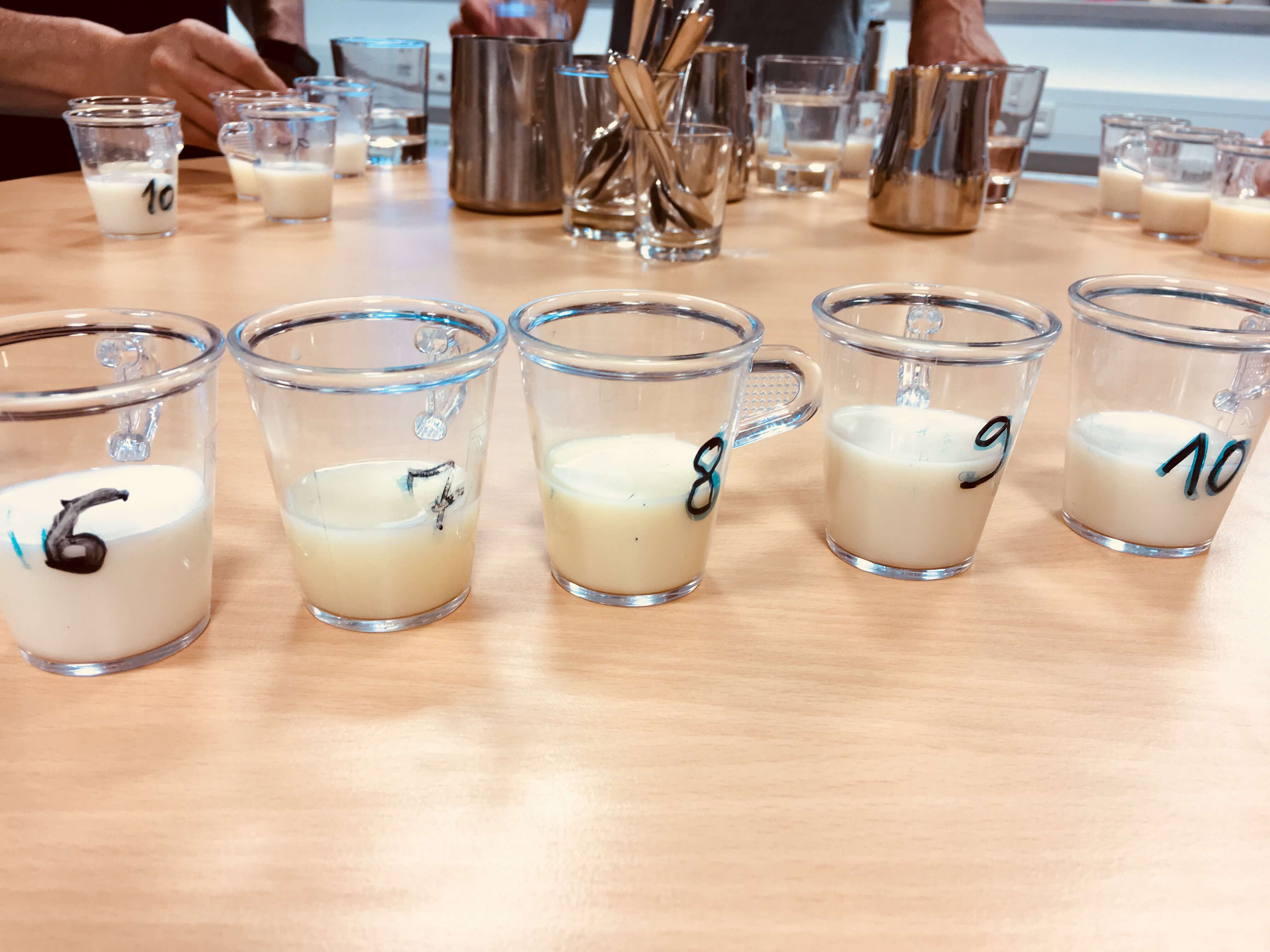 Barista Milch Seminar Barista Milch Seminar